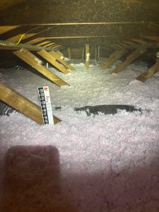 added new blow-in fiberglass insulation
