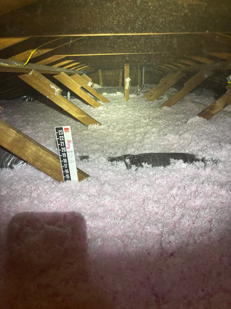 Blow in fiberglass insulation in Gulfport home 